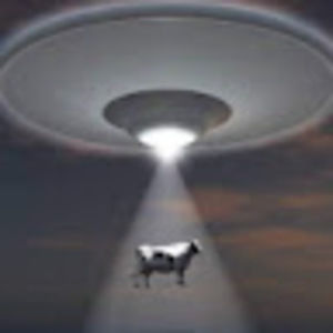 Meet your Posher, Frederick